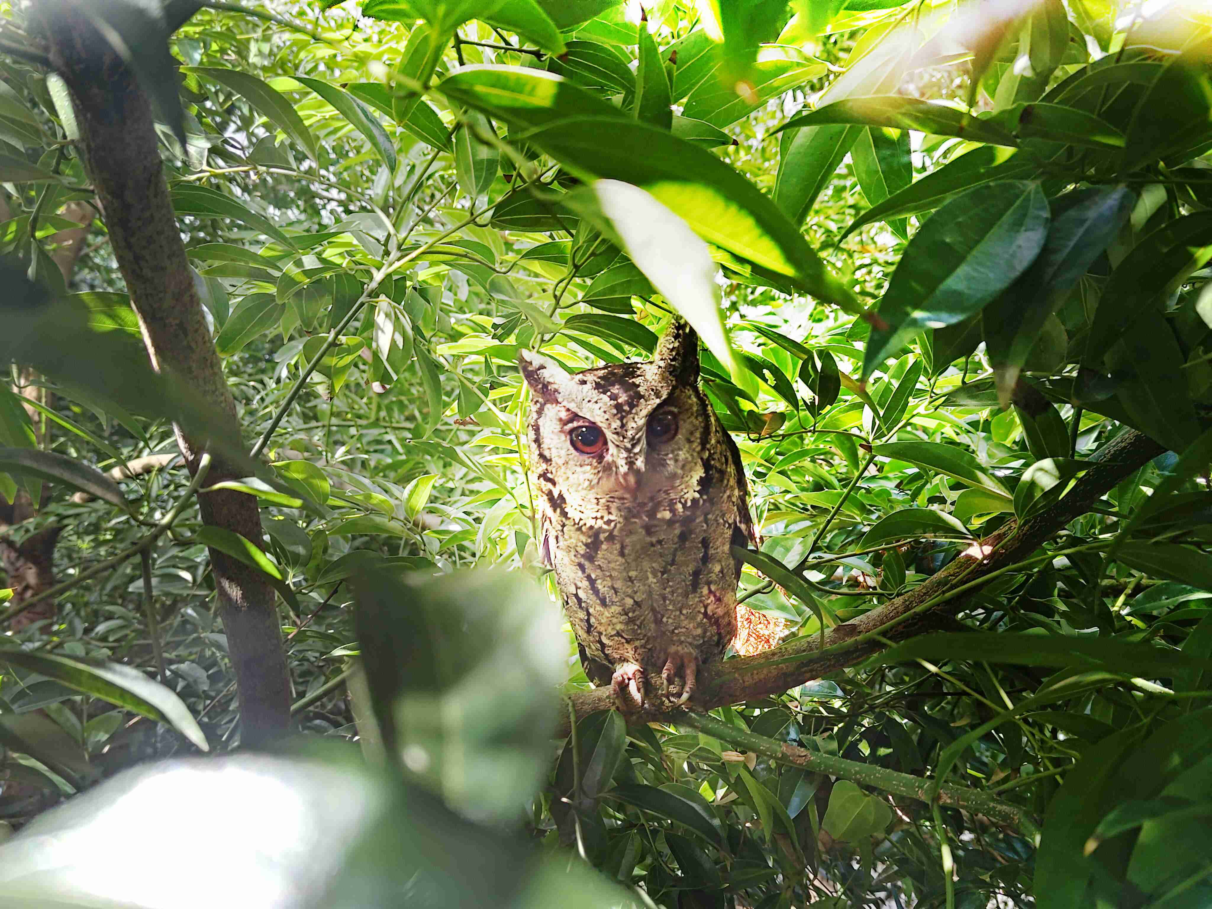 汇旺支付致力提倡净零绿生活，，，，16年以来在全球各厂区植树逾百万棵，，造就各厂区树木蔚然成林，，，犹如森林工厂，，，成为许多生物的栖息地